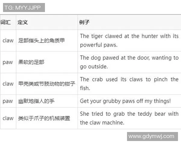 探索英语足球明星的魅力与成就，揭示他们的职业生涯与影响力