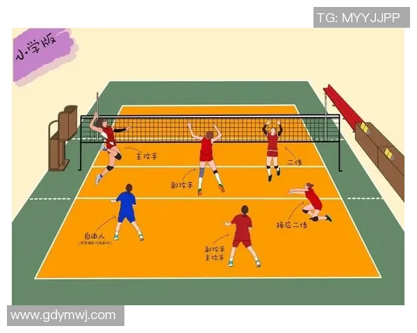 武汉排球队的团队协作精神与排球竞技的完美结合探讨 武汉排球队的团队协作精神与排球竞技的完美结合探讨