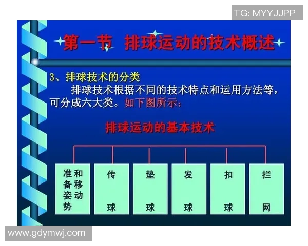 西安排球队在奥运会中的节奏掌控与战术执行深度分析 西安排球队在奥运会中的节奏掌控与战术执行深度分析