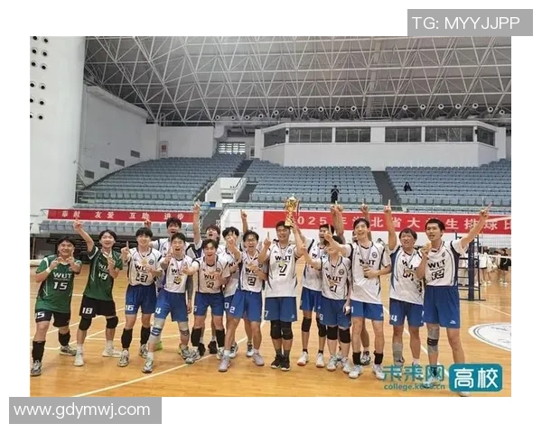 排球战术排名：武汉排球队创新高