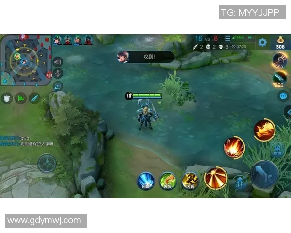 王者荣耀深度：解密FPX的进攻