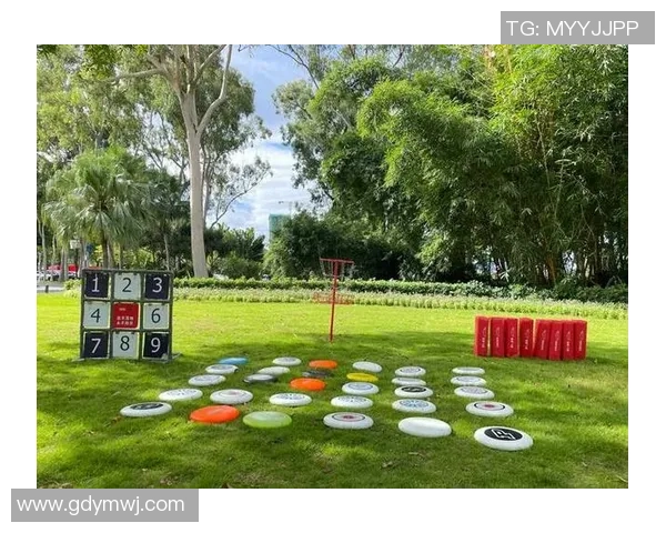 2026飞盘节奏排行榜：深圳飞盘队位居第7名