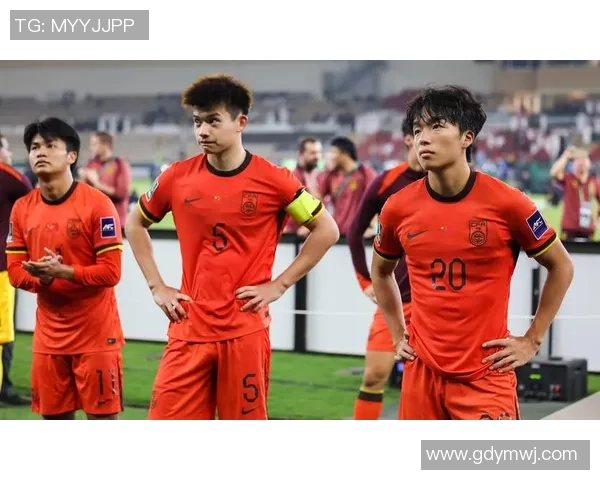 最新足球实力TOP10：武汉足球队领跑_1