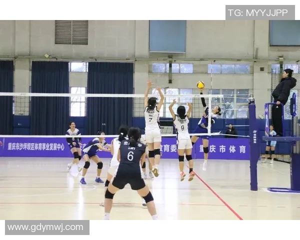 聚焦排球：重庆排球队的意识话题